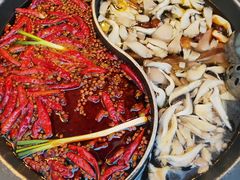 牛油菌汤鸳鸯-川西坝子火锅(金沙1.0直营店)
