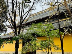 -西园戒幢律寺