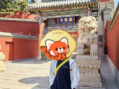 -五台山风景名胜区-罗睺寺