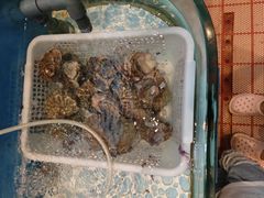 -大渔小鲜火锅店