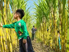 -汉长安城未央宫国家考古遗址公园