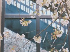 -403国际艺术中心