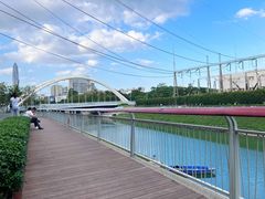 -福田红树林生态公园