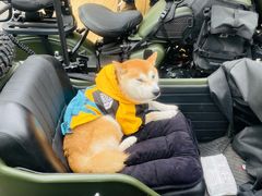 -五进制 Coffee Shop