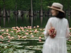 -白鹭湾湿地公园