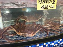 -顺德了能馆(虎门店)