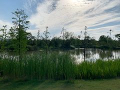 -上海长兴岛郊野公园