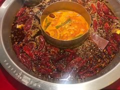 -谭鸭血老火锅(图书馆店)