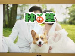 点击看大图 -金夫人婚纱摄影(总店)