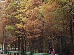 -南京市无想山景区