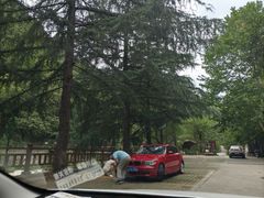 -沣峪森林公园龙潭戏水景区