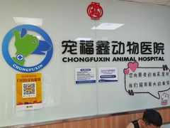 -宠福鑫动物医院(城北分院)