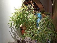 -庆江南江南菜(琴湖溪里花园城店)