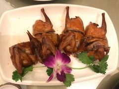 红烧乳鸽-沙龙酒家