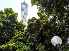 -珠江夜游广州塔·中大码头