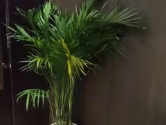 -小仙女采耳·按摩·SPA(深圳旗舰店)