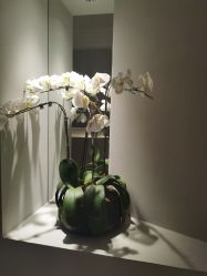 -太乙康·中式美养空间