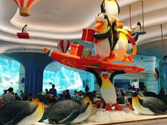 -帝企鹅自助餐厅•儿童岛•真企鹅(长隆企鹅酒店)