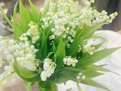 -花邻FloweringLife花艺气球派对(武康大楼店)