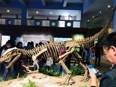 -自贡恐龙博物馆