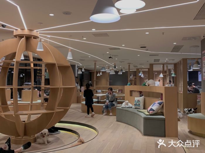 CAT’S MEWSTAR CAFE·喵星球猫屋(晴湾咖啡店)图片