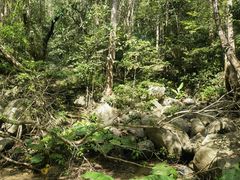 -七仙岭温泉国家森林公园