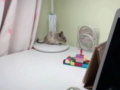 -酷以爬仙阁实体爬宠店·守宫·蜥蜴·专业繁育