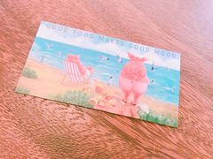 -WHEN PIGS FLY当猪飞