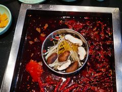 -蜀江龙火锅(339店)