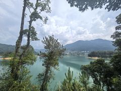 -广州市流溪河国家森林公园