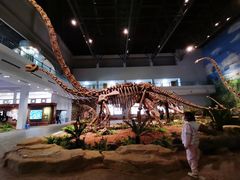 -自贡恐龙博物馆