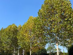 -长沙滨江文化园