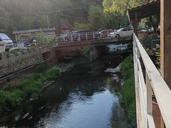 -Local泰莲庭(虹鳟鱼店)