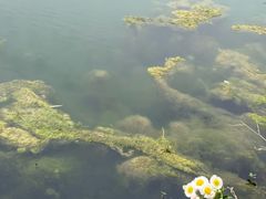 -暮谷MUGO ·团建聚会·露营烧烤·生日派对·共享菜地