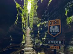 -梭布垭石林景区