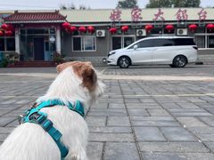 -姥家大锅台水库渔家