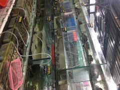 -常家活海鲜小吃(仅一家无分店)