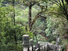 -重庆海昌加勒比海水世界