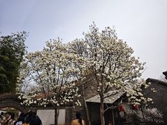 -龙香居海鲜浑锅家常菜·特色驴肉