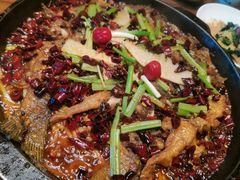 老板恋上鱼-老板恋上鱼(荣盛广场店)