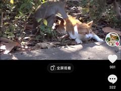 -昆明动物园