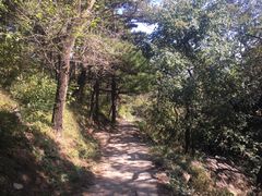 -北京鹫峰国家森林公园
