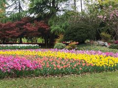 -上海鲜花港
