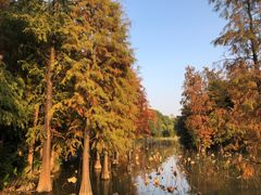 -海珠湖公园