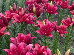 -长春公园(普阳街道)