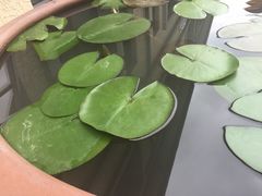 衡山坊-徐家汇源景区-衡山坊