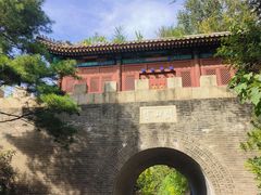 -云岗森林公园
