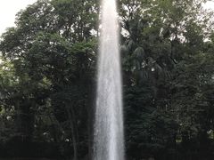 -九龙公园