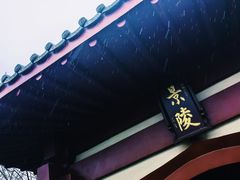 -洛阳古墓博物馆