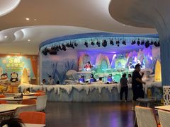 -帝企鹅自助餐厅•儿童岛•真企鹅(长隆企鹅酒店)